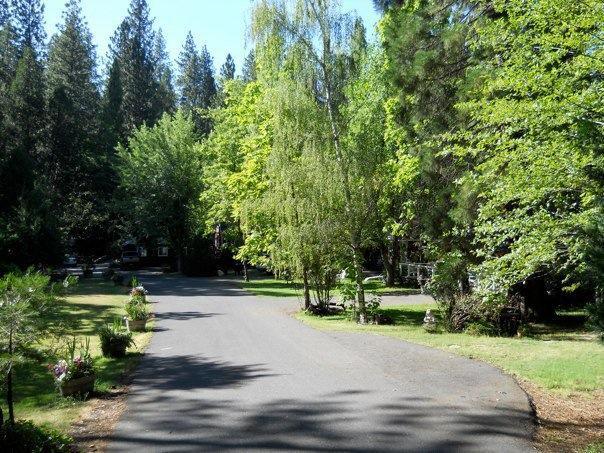 Gables Cedar Creek Inn Twain Harte Zewnętrze zdjęcie